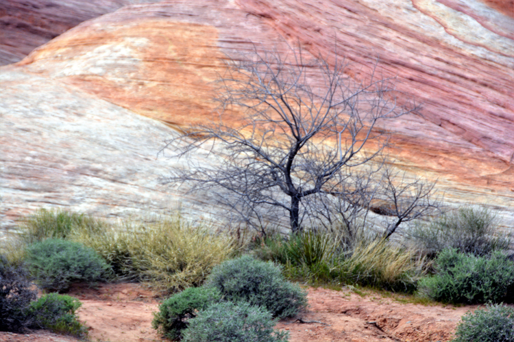 mountain terrain